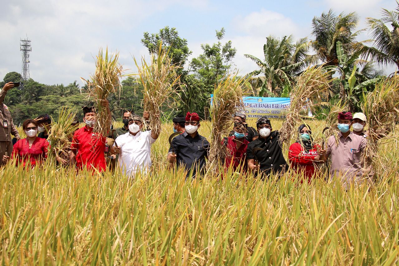 podiumnews.com-Giri Prasta Komit Mantapkan Pembangunan Sektor Pertanian Badung dari Hulu ke Hilir